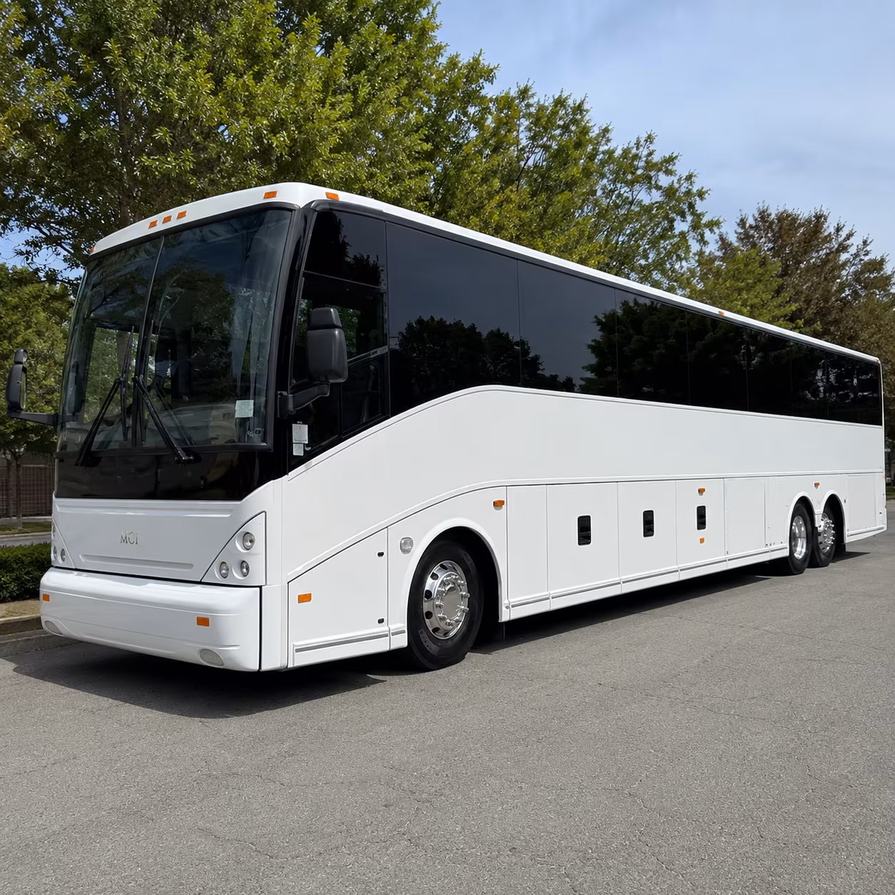 toledo family reunion and vacation bus rentals